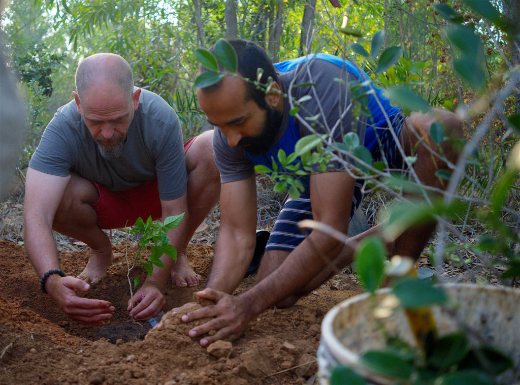 Planting saplings, planting trees, alternative living, Sadhana Forest, Auroville, living in a commune, community living, communities, reforestation, water conservation methods, forest, Pondicherry, Puducherry, Tamil Nadu, India, South India, experiences in Auroville, environment, environmental protection, environmental awareness, eco travel, green travel, save the earth, green planet, voluntourism, volunteer opportunities, social causes, social change, carbon footprint, self sustainability, travel