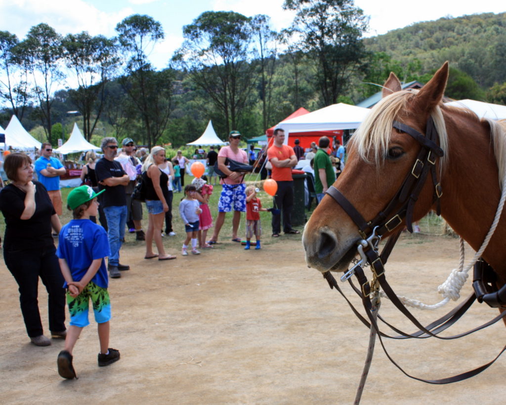 6-wollombi-valley-country-fair