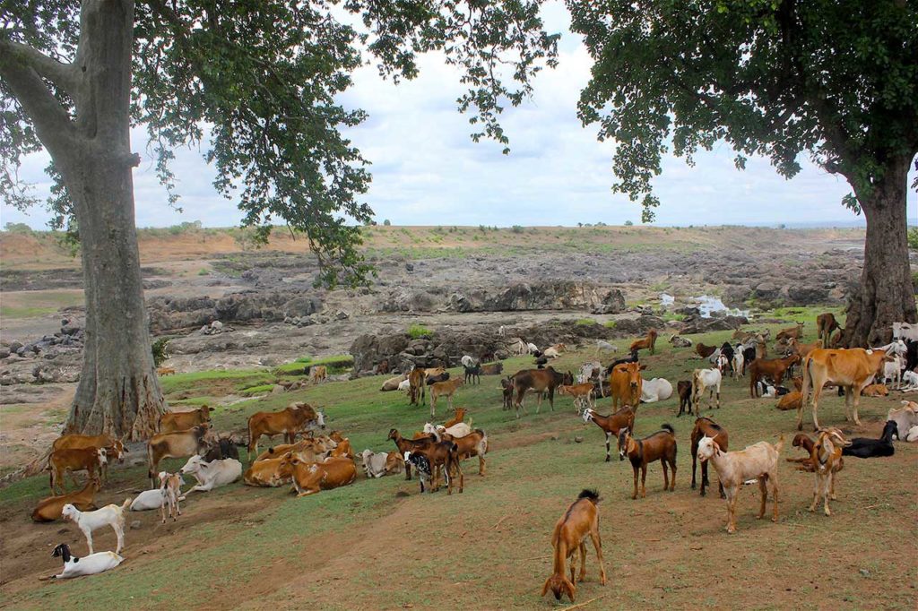 4-banks-of-river-tapti